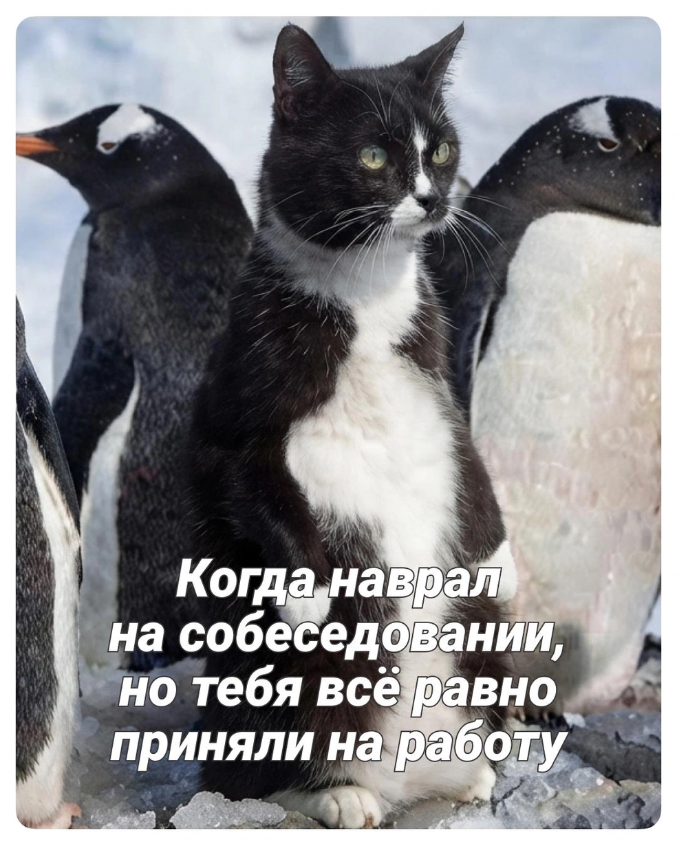 Главное, что он старается! | Источник: Полина Авдошина / Городские медиа