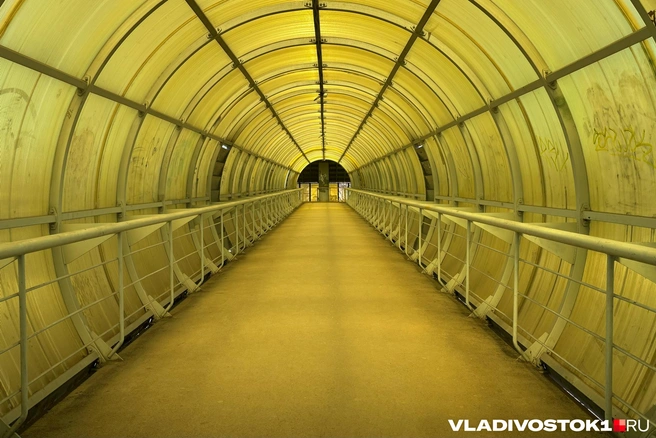 Другие с ним согласились | Источник: Елена Буйвол / VLADIVOSTOK1.RU