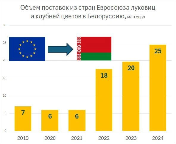 Источник: «Фонтанка.ру»