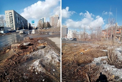На улице Пушкина в Омске вырубили все деревья