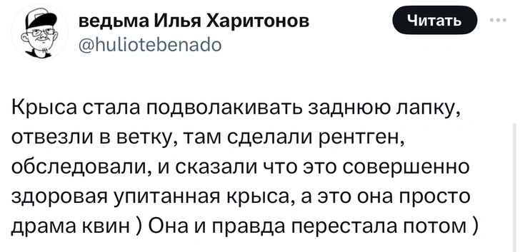 В «Твиттере» делятся тупыми причинами, по которым возили животных в ветеринарные клиники. И это уморительно!