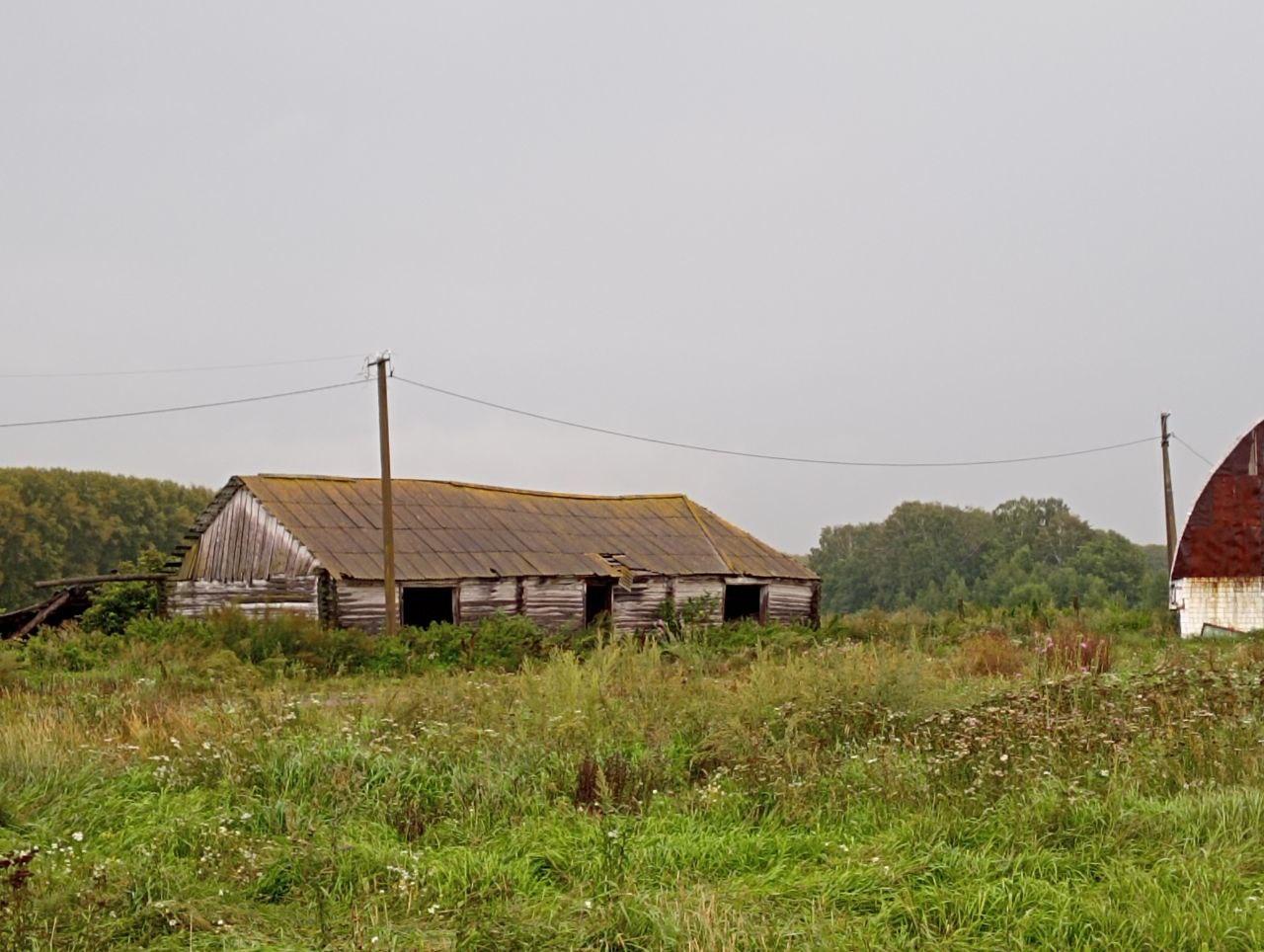 «Верните колхозы!»: жители Башкирии — о том, откуда взяться молоку, если фермы времен СССР в развалинах