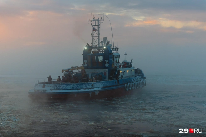 Источник: Иван Митюшёв / 29.RU