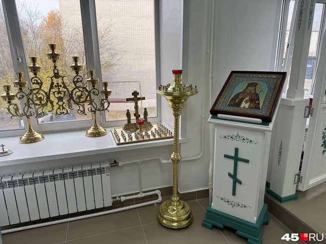 Источник: Юлия Король / 45.RU