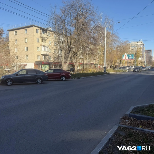 Трещин тоже не наблюдается | Источник: Нелли Козловская / YA62.RU