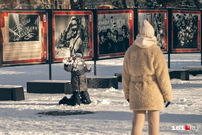 Источник: Евгений Вдовин / 161.RU