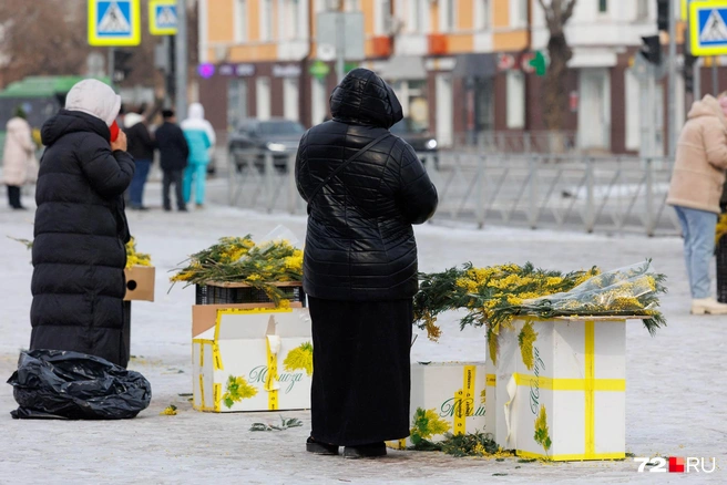 Во второй половине этой недели будет тепло  | Источник: Ирина Шарова / 72.RU