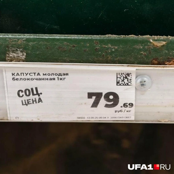 Источник: Булат Салихов / UFA1.RU