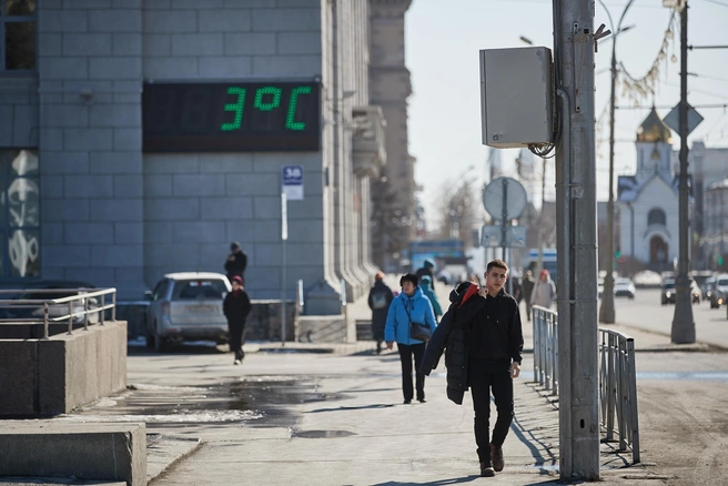 Самая ранняя дата схода снега — это 23 марта, но в этом году этот сценарий не реализуется | Источник: Александр Ощепков / NGS.RU