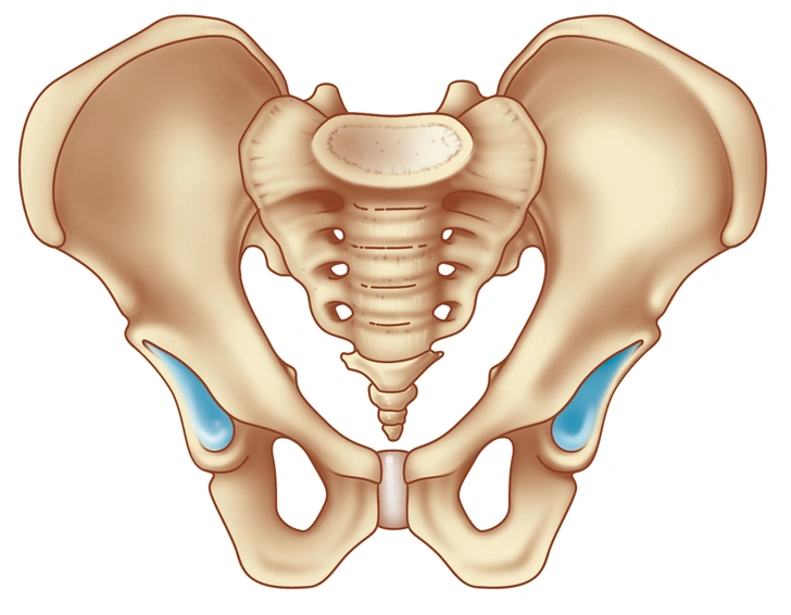 болит подвздошная кость