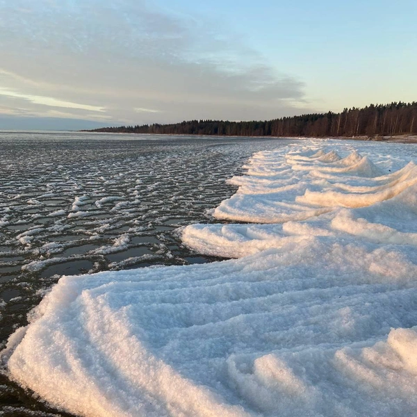 Источник: читатель «Фонтанки» Надежда