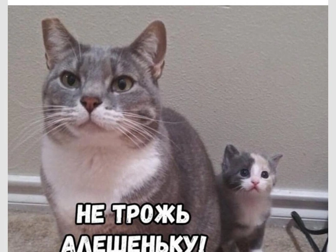 А вы жаловались бабушкам на поведение родителей? | Источник: Городские медиа