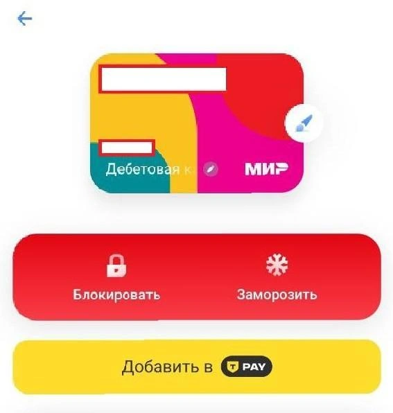 Источник: Екатерина Железнова / 93.RU