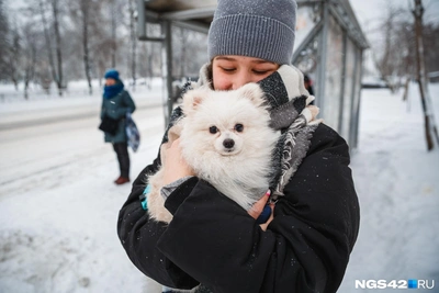 Погода в Кузбассе на новогодние каникулы: данные сервисов