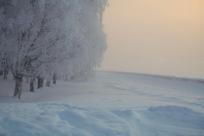 Arkhangelsk Oblast February 1 forecast: temperatures down to -37°C