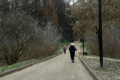 Бесплатный кинопоказ под открытым небом в ЦПКиО