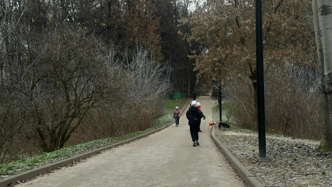 В Центральном парке организовали кинотеатр под открытым небом | Источник: Виктория Улитова / YA62.RU