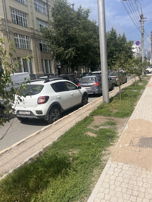 Если включить аварийку, парковаться в зоне действия знака «Остановка запрещена» все равно нельзя | Источник: Читательница НГС Анастасия