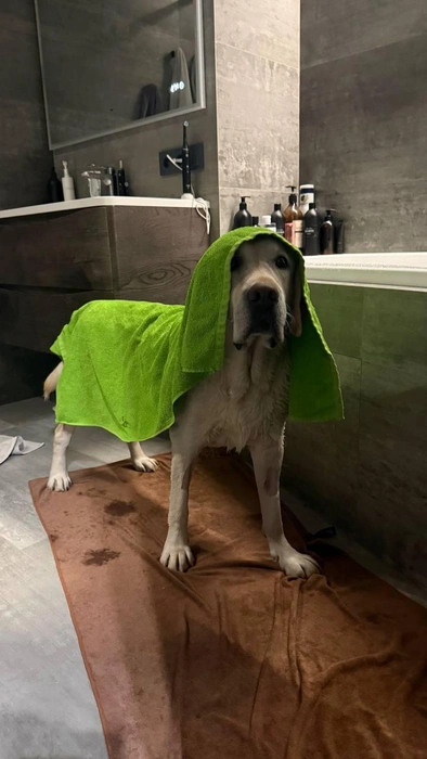 Умываются мышата, и котята, и утята, и жучки, и паучки | Источник: читатель 63.RU