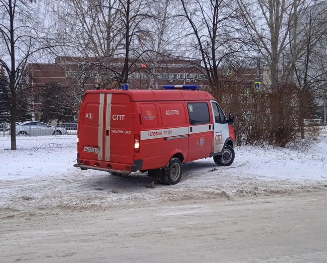 В Ульяновске при пожаре погиб 55-летний мужчина | Источник: Дмитрий Сильнов / 173. RU