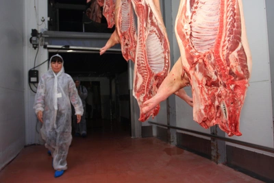 Убойный пункт оштрафовали за антисанитарию