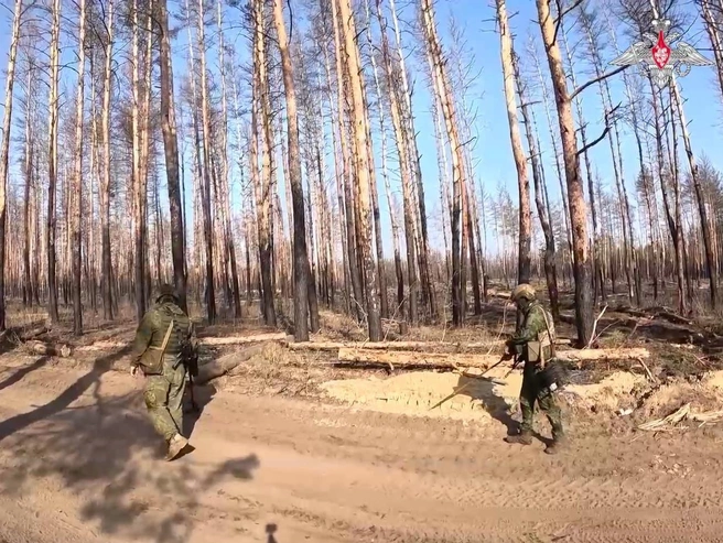 Российские военные начали разминирование освобожденной территории Курской области | Источник: Минобороны России