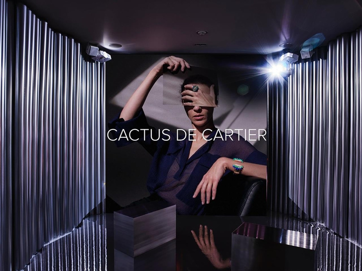 Остромодный вид: обновленная коллекция Cactus de Cartier (фото 5)