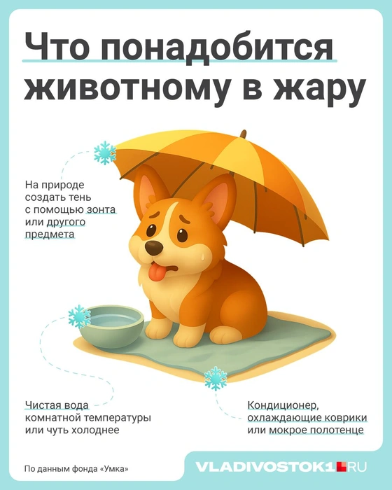 Источник: Полина Авдошина / Городские медиа