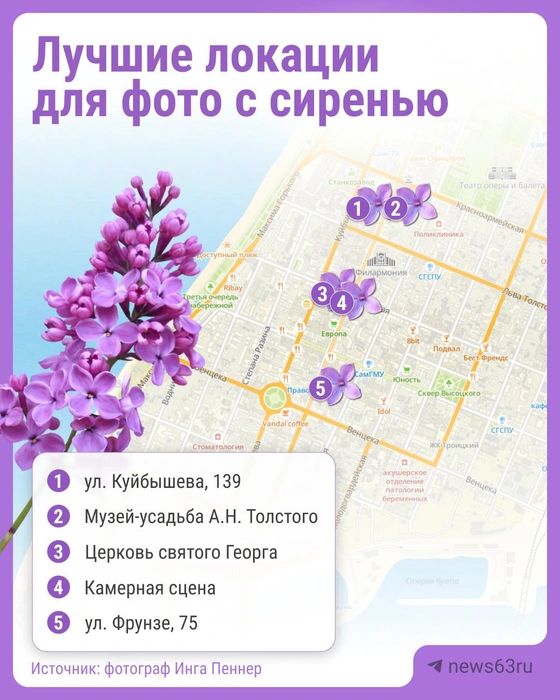 Сохраняйте подборку: сирень цветет всего пару недель! | Источник: Максим Бутусов / Городские порталы 