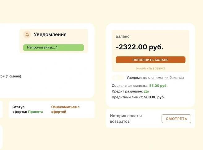 Многие родители обнаружили задолженность по школьному питанию в электронном журнале | Источник: Электронный дневник