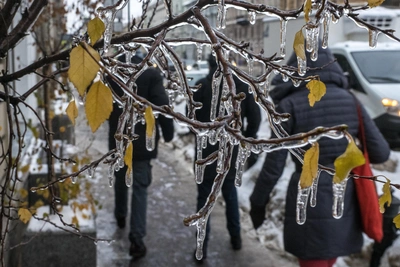 Прогноз погоды на неделю в Алтайском крае