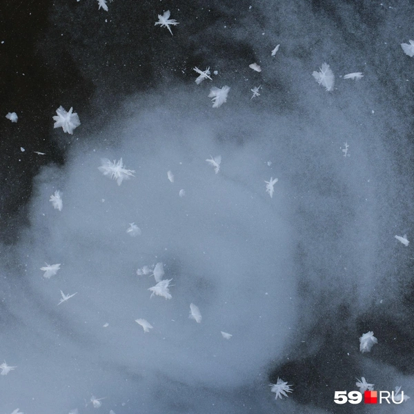 …или танцуют что-то из «Щелкунчика» | Источник: Тимофей Калмаков / 59.RU