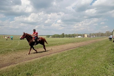 Хабиров утвердил даты Сабантуя-2026 в 54 районах