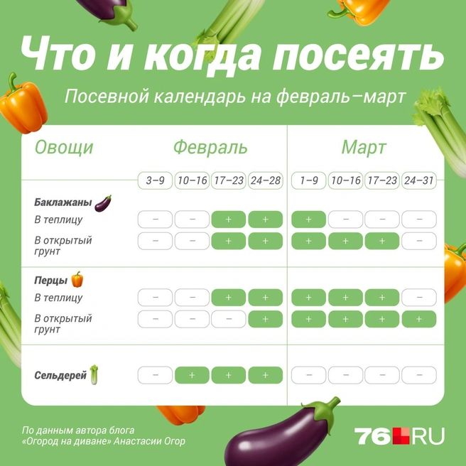 Какие растения нужно сажать на рассаду в феврале и марте | Источник: Полина Авдошина / Городские медиа