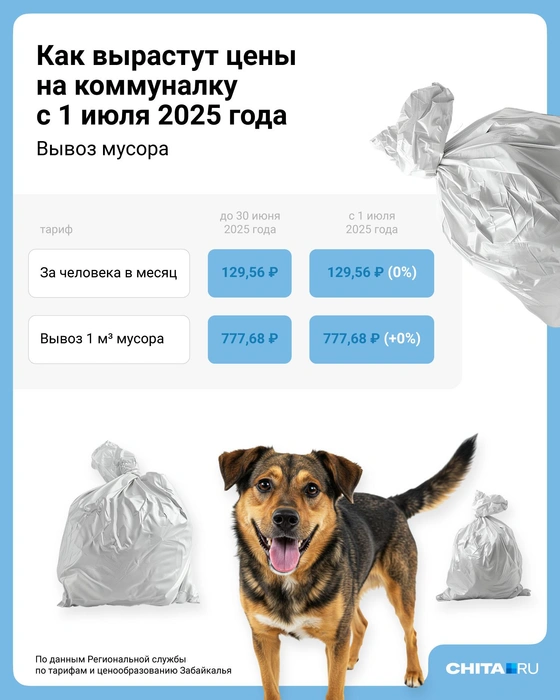 Источник: Евгения Бикунова / Городские медиа