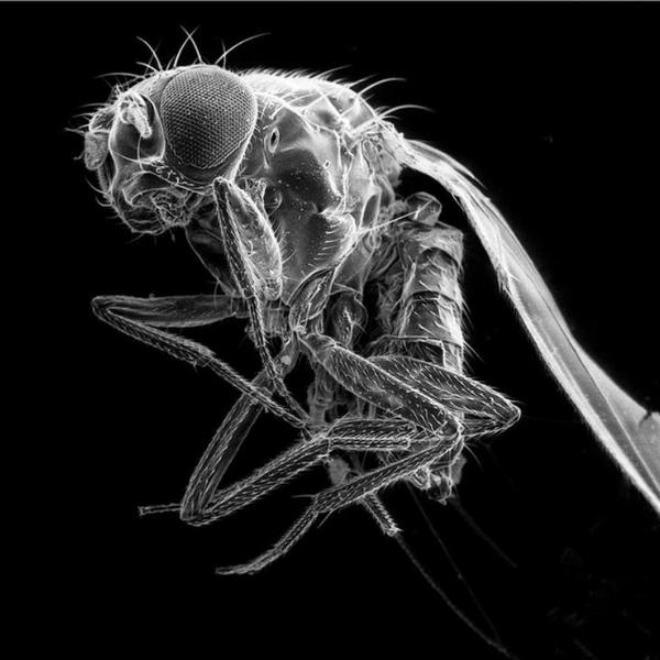 Источник: Roger Archibald / Exposure One Awards 2025