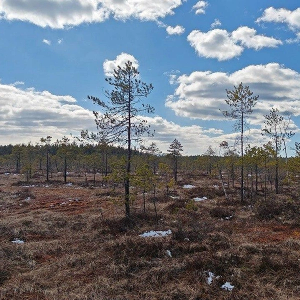 Источник: Каждой твари по паре | Павел Глазков