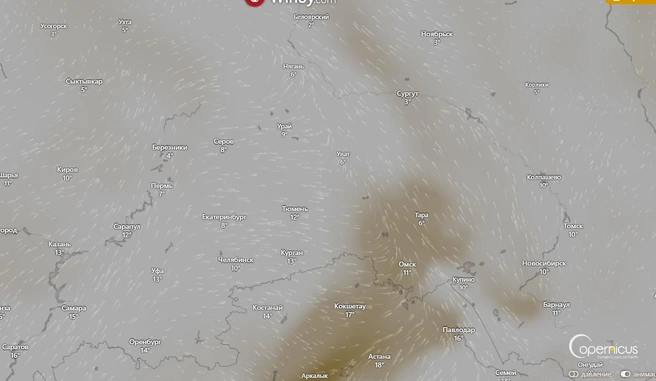 А так будет выглядеть к обеду | Источник: www.windy.com