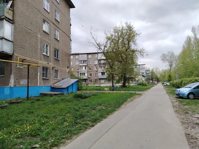 В Черемушках много скверов и зеленых зон | Источник: Ирина Господаренко / NGS22.RU