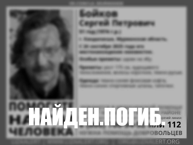 Источник: «Поисковый отряд „ЛизаАлерт“ Мурманской области» / Vk.com