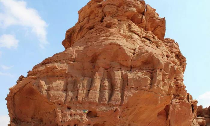 Обнаружены старейшие в мире скульптуры верблюдов