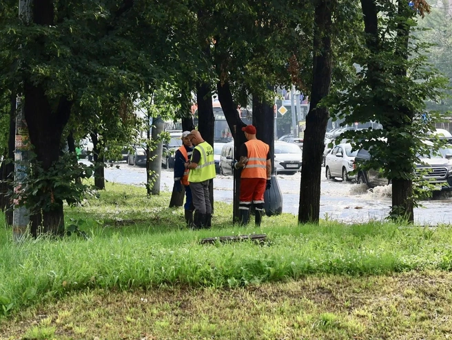 Через пару часов на участке появились работники «Эвиса» | Источник: Михаил Шилкин