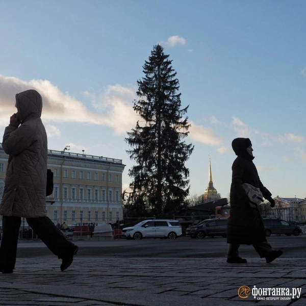 Источник: Михаил Огнев / FONTANKA.RU