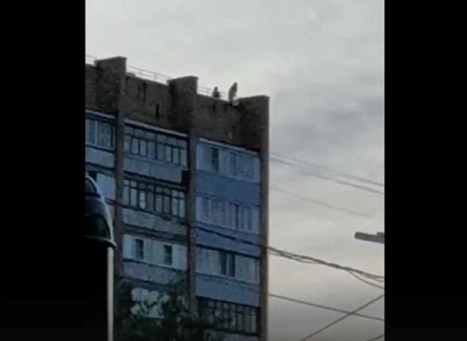 Рязанцы вызвали пожарных, чтобы снять подростков с крыши многоэтажки | ya62.ru
