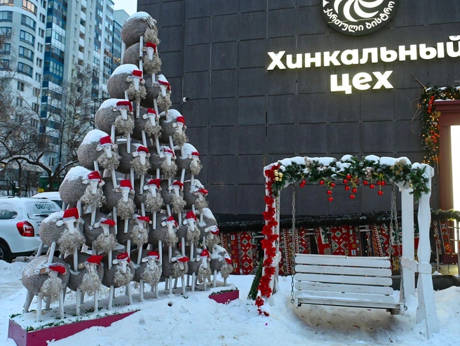 Источник: Дмитрий Емельянов / E1.RU