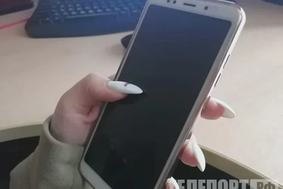 В Приамурье разрабатывают приложение «Народный инспектор» для жителей