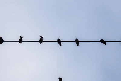 На Дону модернизируют электросети для стабильного энергоснабжения