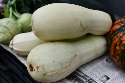 Store Zucchini for Winter: Agronomist’s Tips