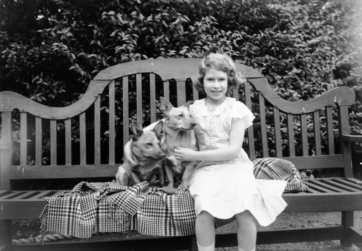 Королева с детства обожала собак