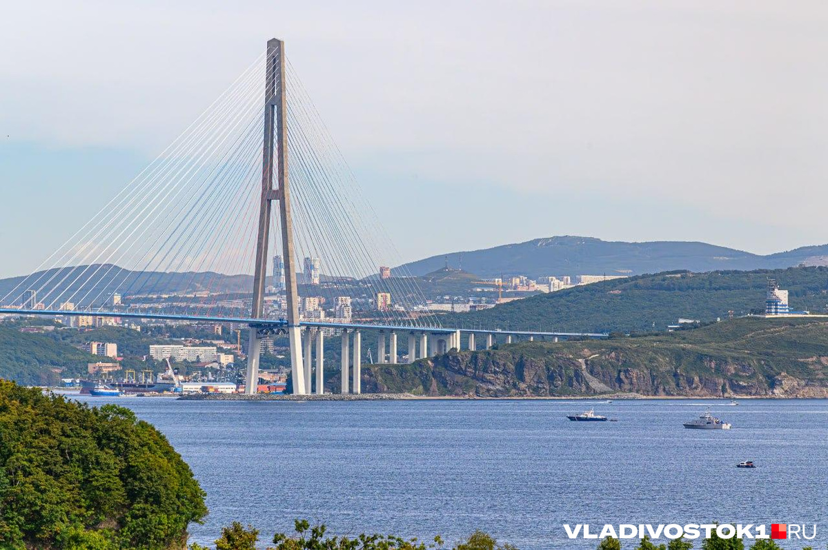 Смерть ребенка, мужчина упал с моста, скандальное выступление Нюши —  главные события недели в Приморье - 24 февраля 2024 - ВЛАДИВОСТОК1.ру